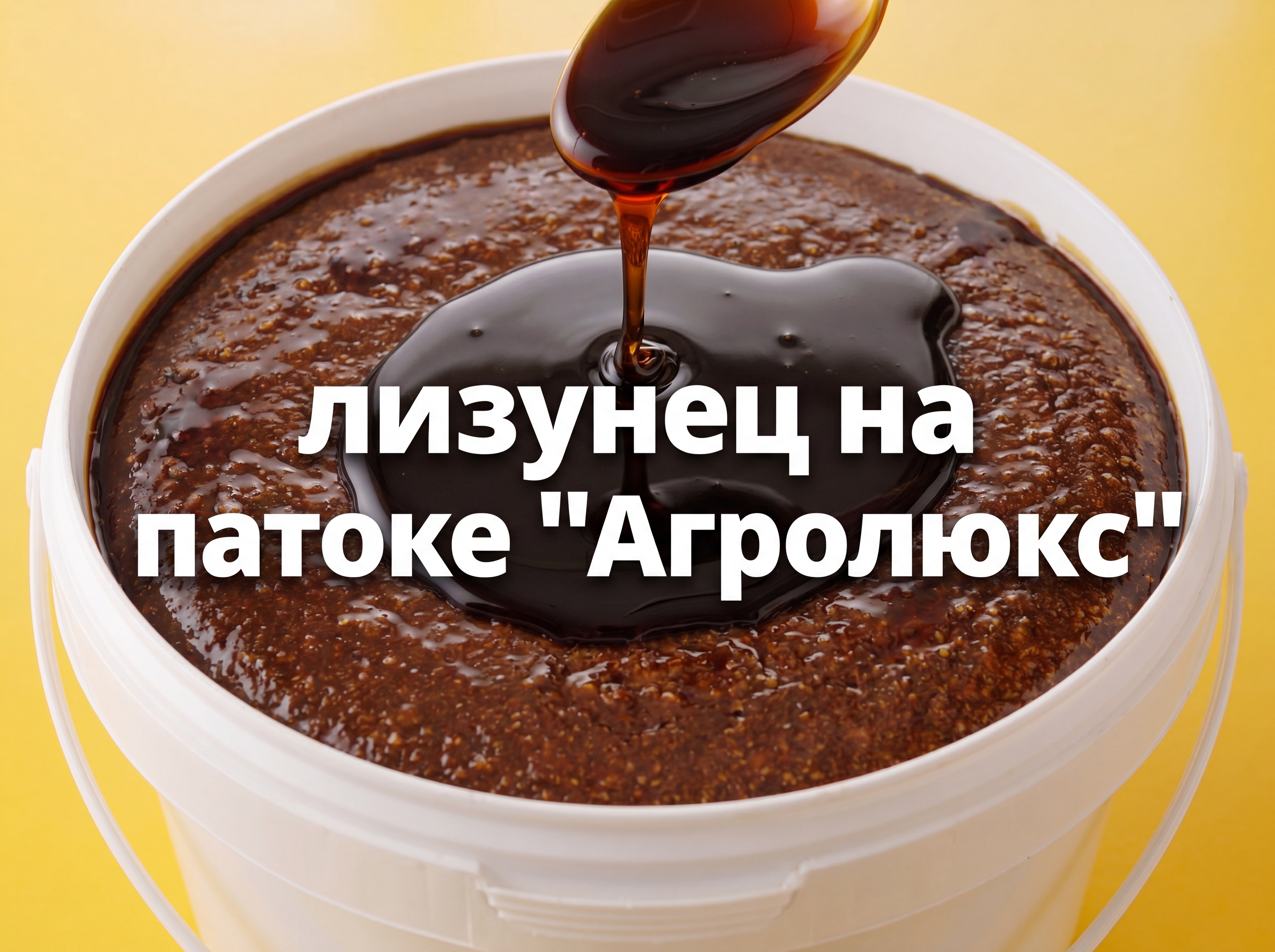 Лизунцы для всех групп С/х животных